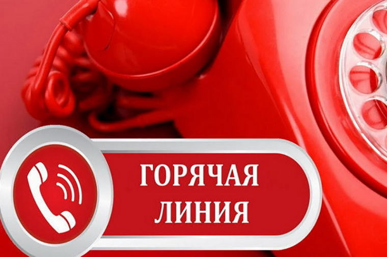 Горячая линия.